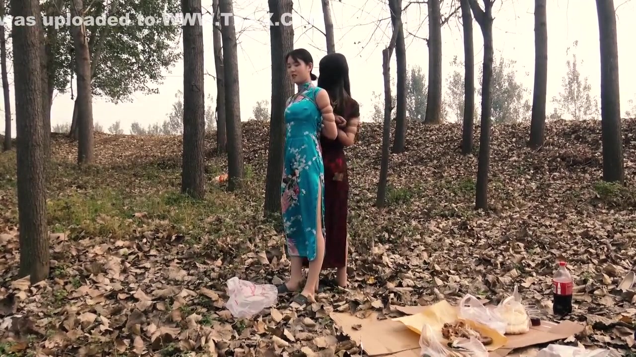 Chinese Outdoor Picnic
